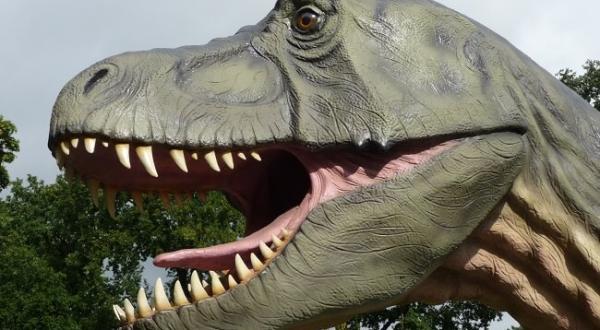 Leuke Dinoparken: Dinoland en Oertijdmuseum Boxtel